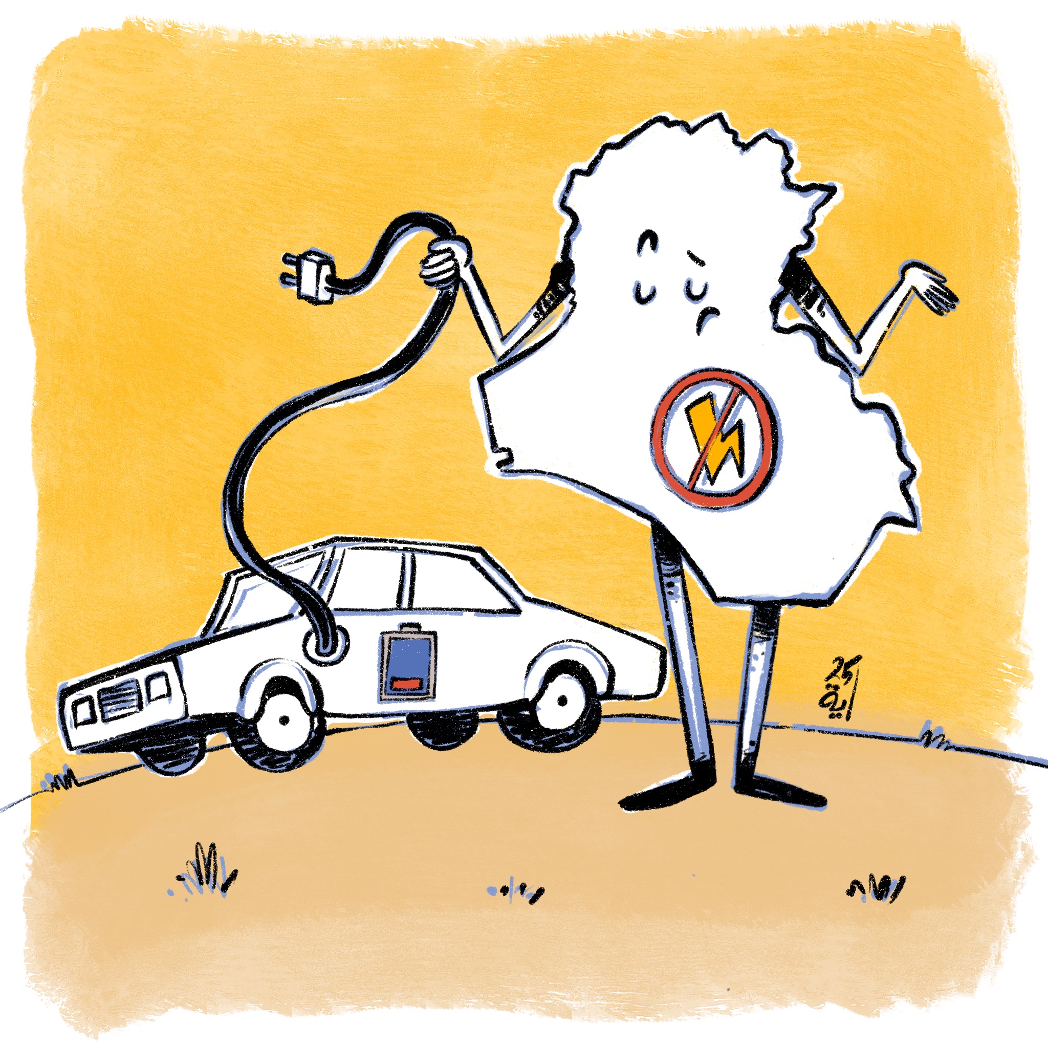 Electric cars won\'t be successful in Iraq